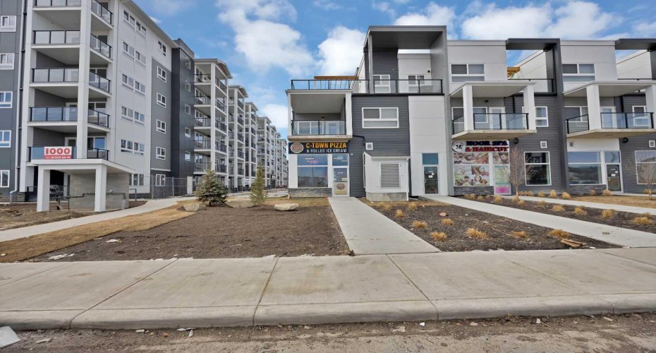 151 SKYVIEW Bay, Calgary, Alberta T3N2K3, ,Commercial,For Lease,SKYVIEW,A2295396