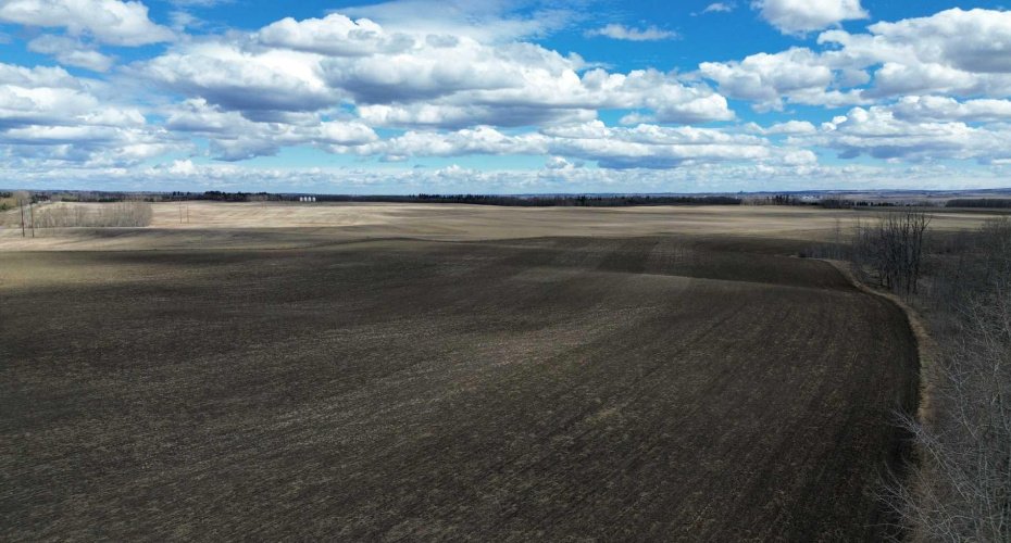 0 Coachill Street, Blackfalds, Alberta T0M 0J0, ,Land,For Sale,Coachill,A2117771