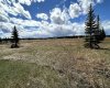 6115 Township Road 325, Rural Mountain View County, Alberta T0M1X0, ,Land,For Sale,Township Road 325,A2295244