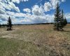 6115 Township Road 325, Rural Mountain View County, Alberta T0M1X0, ,Land,For Sale,Township Road 325,A2295244