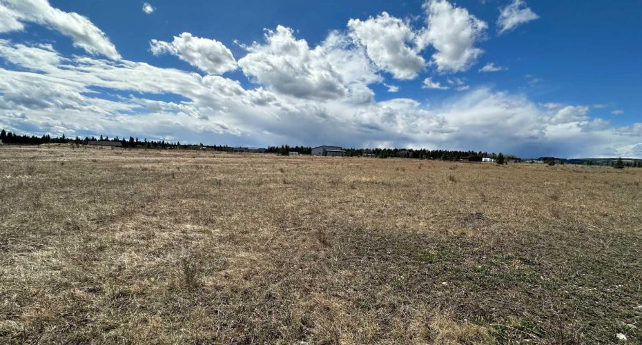 6115 Township Road 325, Rural Mountain View County, Alberta T0M1X0, ,Land,For Sale,Township Road 325,A2295244
