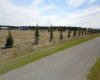 6115 Township Road 325, Rural Mountain View County, Alberta T0M1X0, ,Land,For Sale,Township Road 325,A2295244