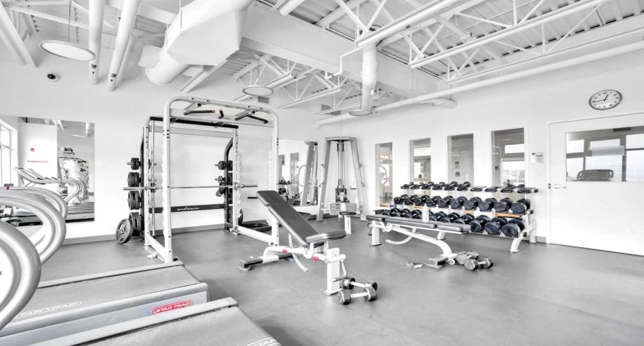 Fitness Gym