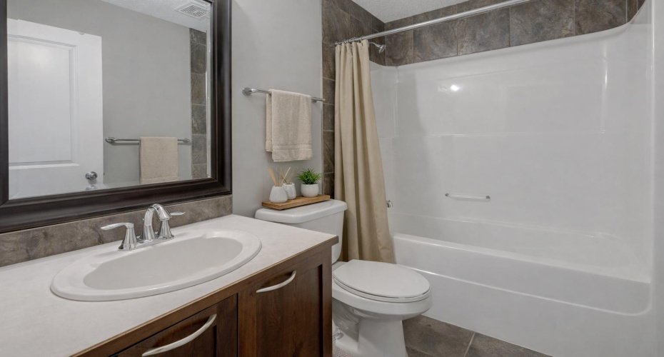 Basement bathroom