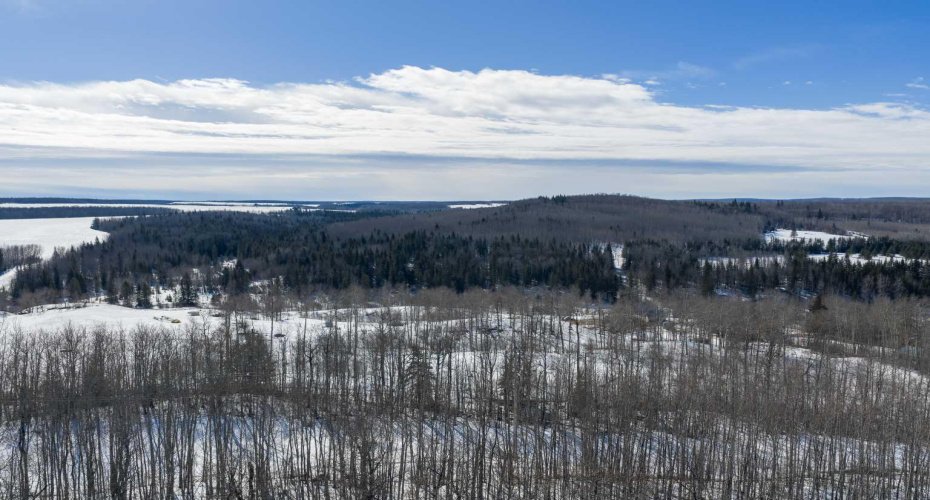 PT-SE-15-65-22-W4, Rural Athabasca County, Alberta T0G 0R0, ,Land,For Sale,PT-SE-15-65-22-W4,A2295548
