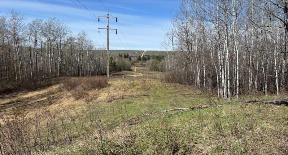 PT-SE-15-65-22-W4, Rural Athabasca County, Alberta T0G 0R0, ,Land,For Sale,PT-SE-15-65-22-W4,A2295548
