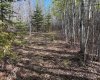 PT-SE-15-65-22-W4, Rural Athabasca County, Alberta T0G 0R0, ,Land,For Sale,PT-SE-15-65-22-W4,A2295548