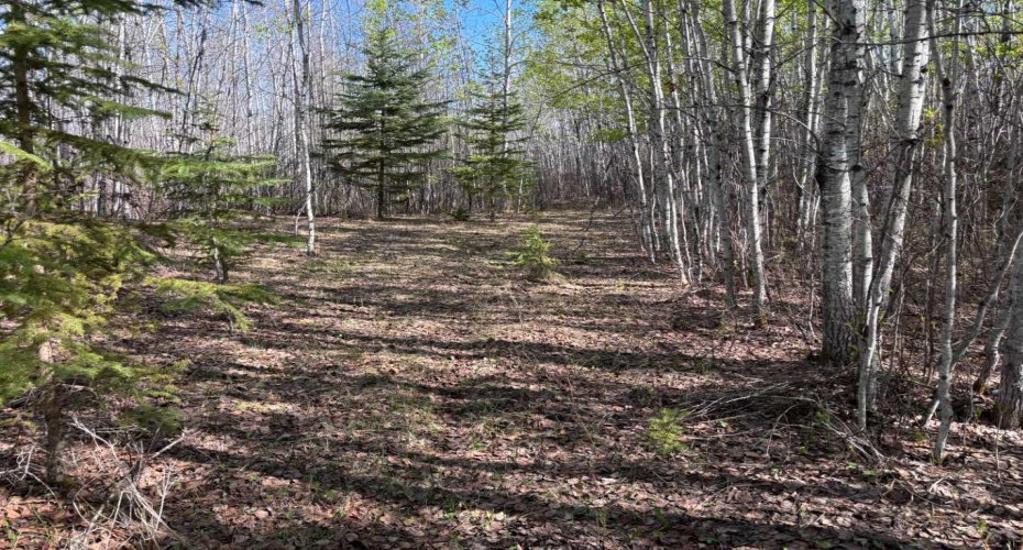 PT-SE-15-65-22-W4, Rural Athabasca County, Alberta T0G 0R0, ,Land,For Sale,PT-SE-15-65-22-W4,A2295548