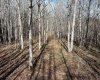 PT-SE-15-65-22-W4, Rural Athabasca County, Alberta T0G 0R0, ,Land,For Sale,PT-SE-15-65-22-W4,A2295548