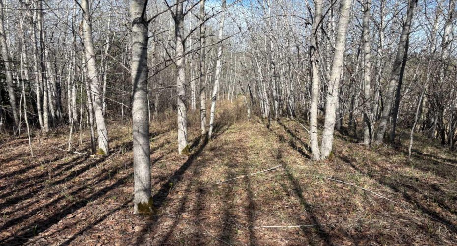 PT-SE-15-65-22-W4, Rural Athabasca County, Alberta T0G 0R0, ,Land,For Sale,PT-SE-15-65-22-W4,A2295548