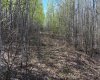 PT-SE-15-65-22-W4, Rural Athabasca County, Alberta T0G 0R0, ,Land,For Sale,PT-SE-15-65-22-W4,A2295548