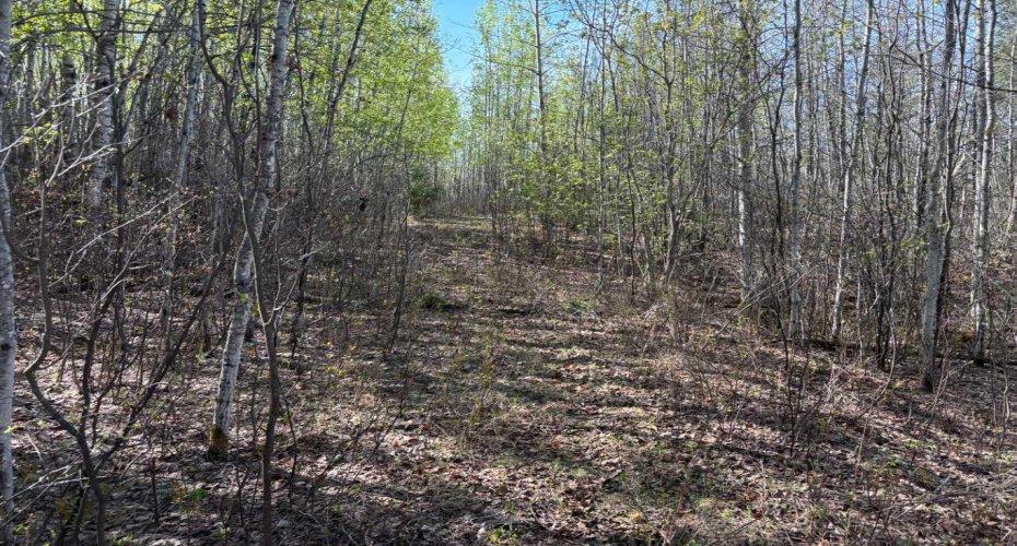 PT-SE-15-65-22-W4, Rural Athabasca County, Alberta T0G 0R0, ,Land,For Sale,PT-SE-15-65-22-W4,A2295548