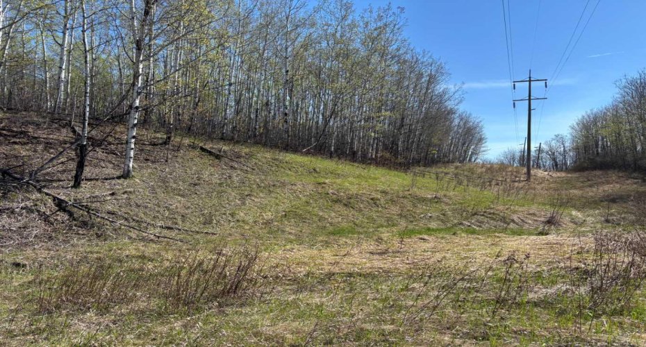 PT-SE-15-65-22-W4, Rural Athabasca County, Alberta T0G 0R0, ,Land,For Sale,PT-SE-15-65-22-W4,A2295548