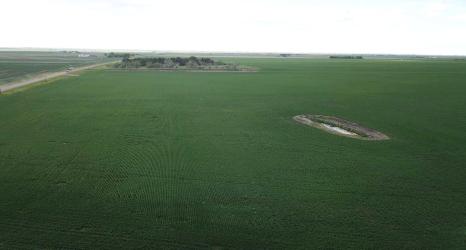 TWP 264 & RR 271, Rural Rocky View County, Alberta T0M 0E0, ,Land,For Sale,TWP 264 & RR 271,A2295553