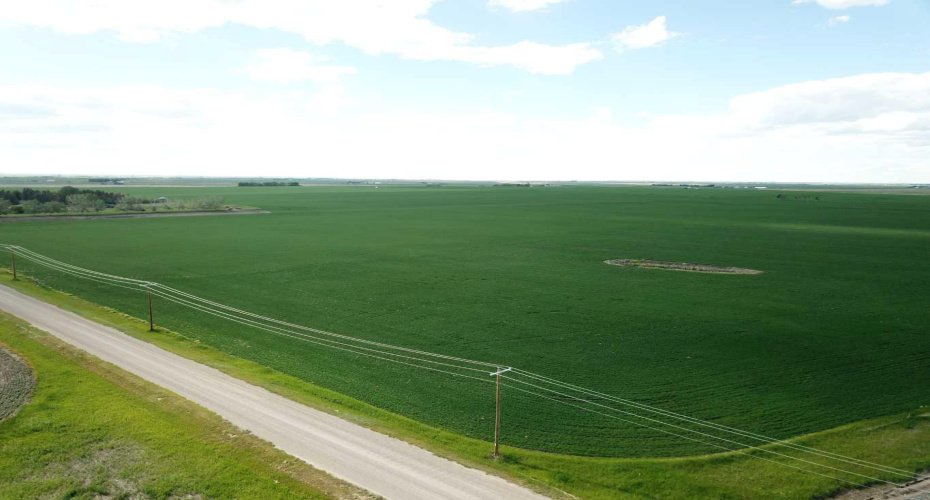 TWP 264 & RR 271, Rural Rocky View County, Alberta T0M 0E0, ,Land,For Sale,TWP 264 & RR 271,A2295553