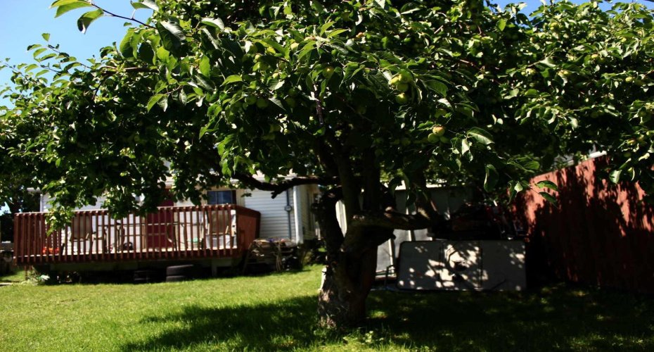 2740 16A Street, Calgary, Alberta T2G 3T2, 2 Bedrooms Bedrooms, ,2 BathroomsBathrooms,Residential,For Sale,16A,A2295659