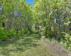 430044 Highway 20, Rural Ponoka County, Alberta T0C 2J0, 3 Bedrooms Bedrooms, ,3 BathroomsBathrooms,Residential,For Sale,Highway 20,A2295722