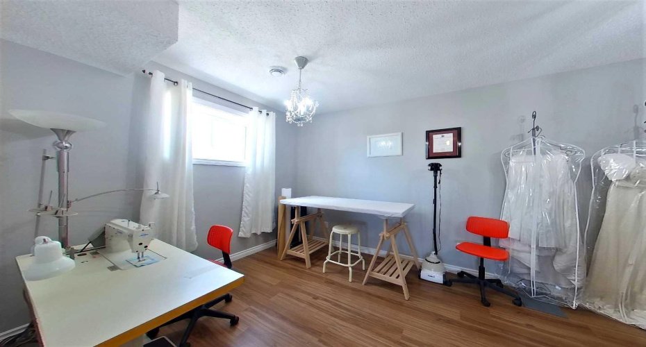 Basement Flex Room