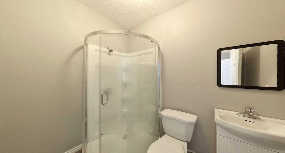 Basement Bathroom