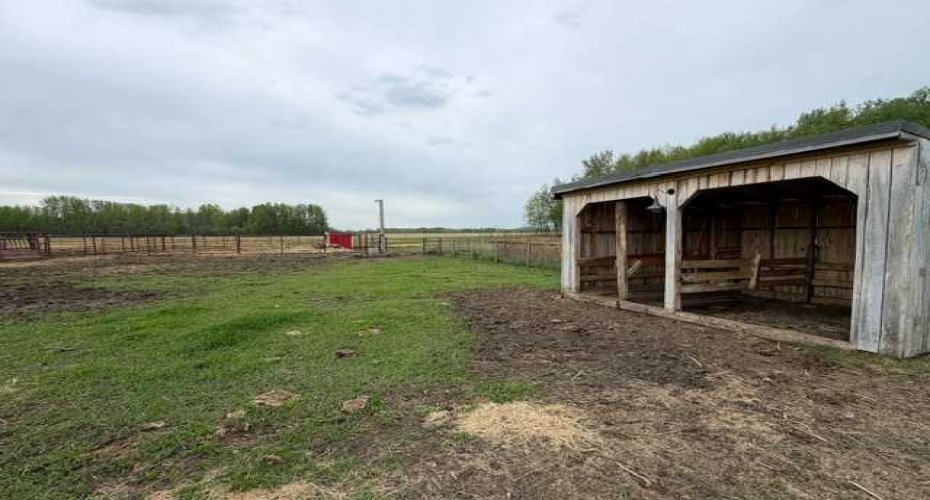 74120 100 Range Road, Kinuso, Alberta T0G 2K0, 5 Bedrooms Bedrooms, ,4 BathroomsBathrooms,Residential,For Sale,100 Range,A2293788