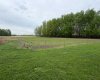 74120 100 Range Road, Kinuso, Alberta T0G 2K0, 5 Bedrooms Bedrooms, ,4 BathroomsBathrooms,Residential,For Sale,100 Range,A2293788
