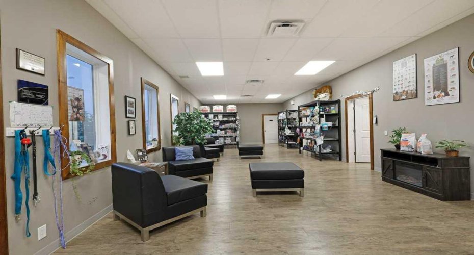 50 Upland Boulevard, Brooks, Alberta T1R 0N9, ,Commercial,For Sale,Upland,A2294155
