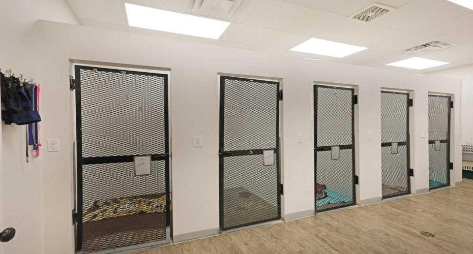 50 Upland Boulevard, Brooks, Alberta T1R 0N9, ,Commercial,For Sale,Upland,A2294155