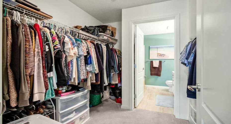 Large Closet in Master