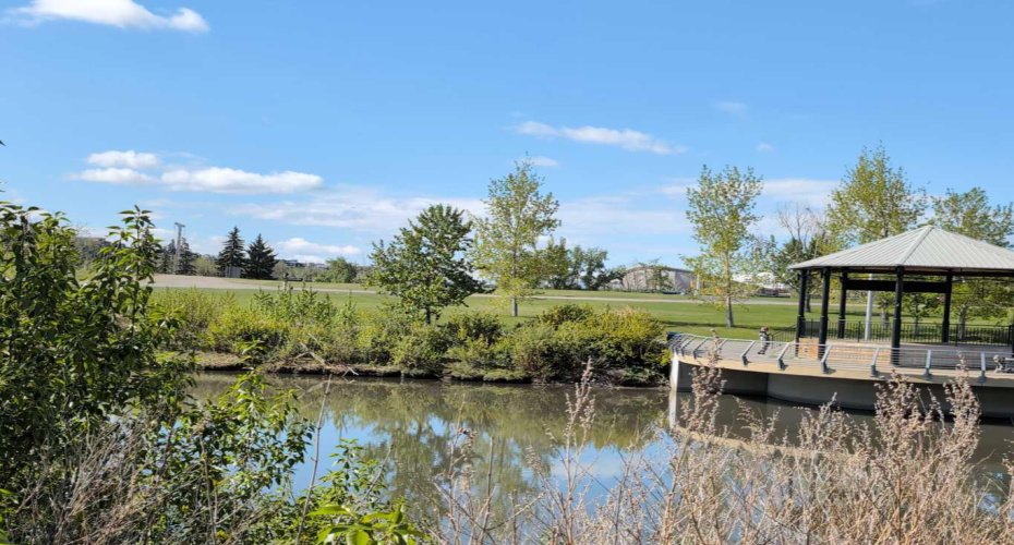 St. Patrick's Island