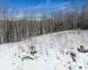 224002 TWP RD 654, Rural Athabasca County, Alberta T9S 1C4, ,Land,For Sale,TWP RD 654,A2295718