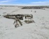 4;25;24;26 NE Range Road 251, Rural Wheatland County, Alberta T1P 0P1, ,Land,For Sale,Range Road 251,A2289406