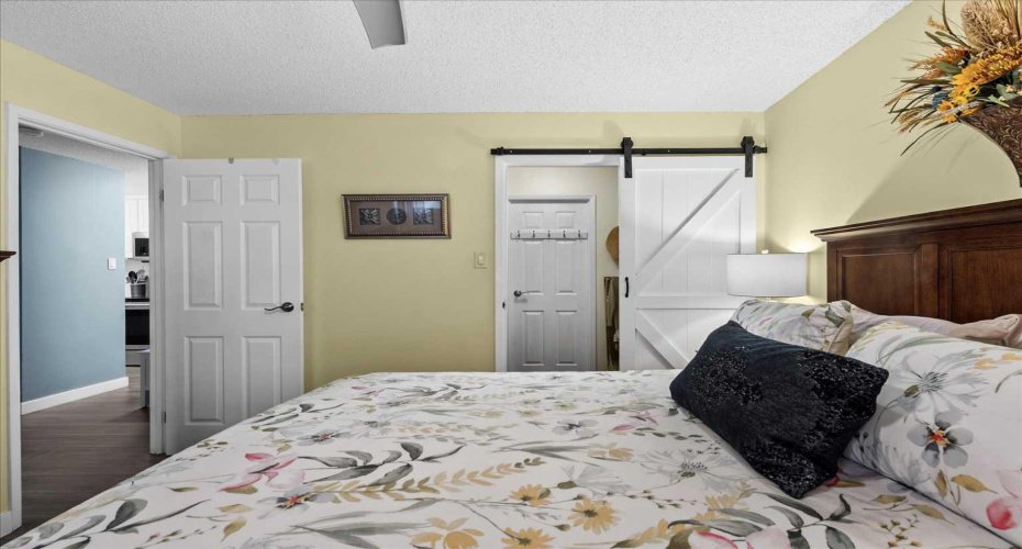 Barn Doors to Closet