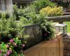 Feels like your own garden