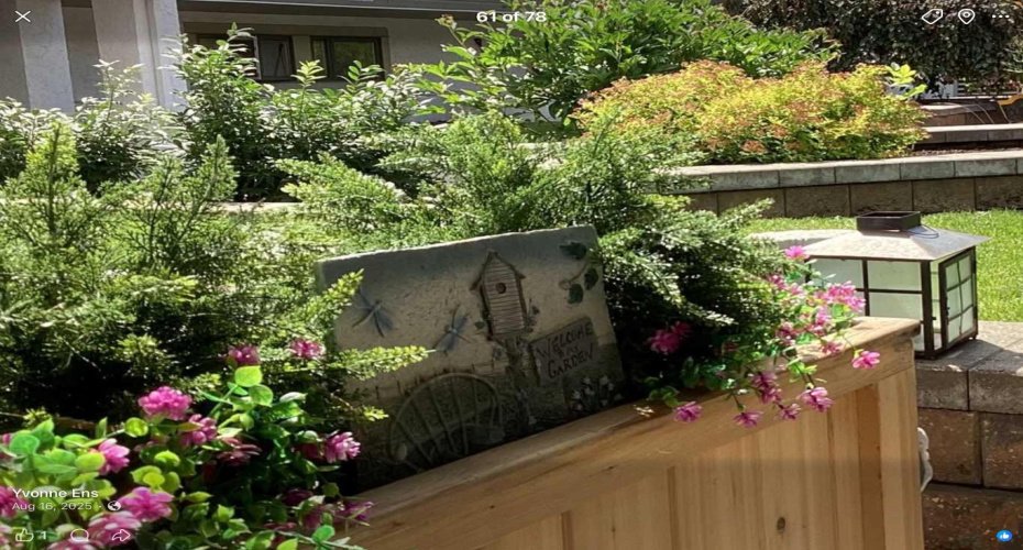 Feels like your own garden