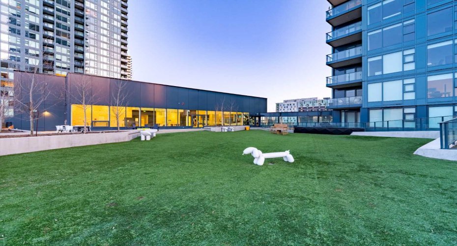Rooftop dog park