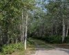36246 251 Range, Rural Red Deer County, Alberta T4J 3E5, ,Land,For Sale,251,A2295933