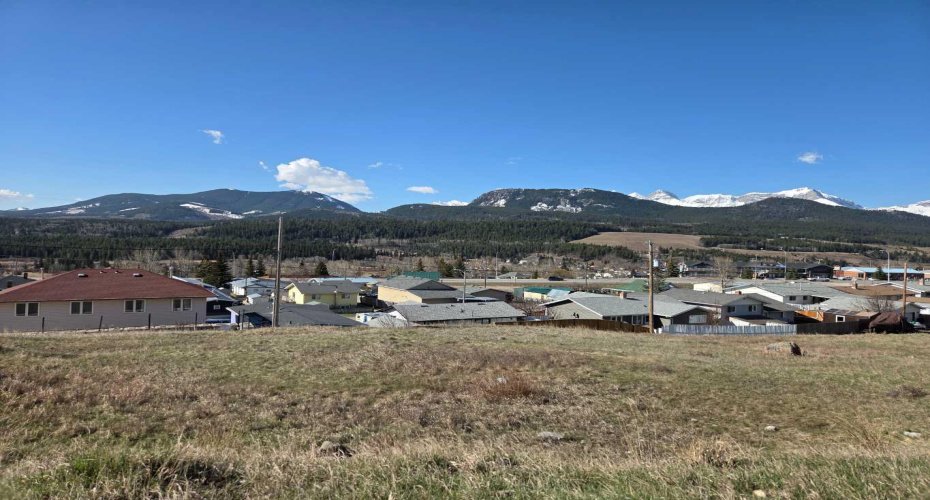 8630 21st Avenue, Coleman, Alberta T0K0M0, ,Land,For Sale,21st,A2296285