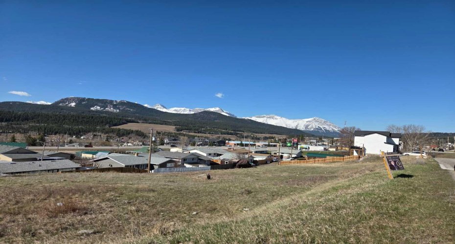 8630 21st Avenue, Coleman, Alberta T0K0M0, ,Land,For Sale,21st,A2296285