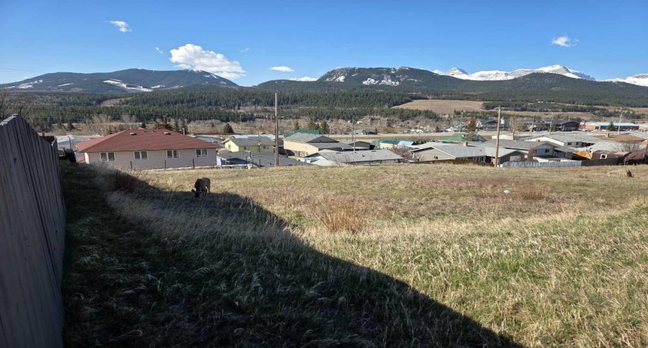 8630 21st Avenue, Coleman, Alberta T0K0M0, ,Land,For Sale,21st,A2296285