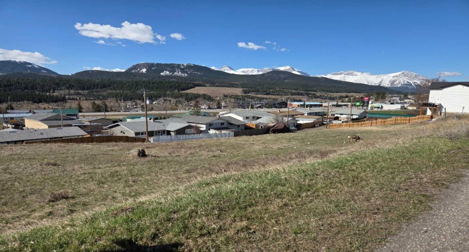 8630 21st Avenue, Coleman, Alberta T0K0M0, ,Land,For Sale,21st,A2296285