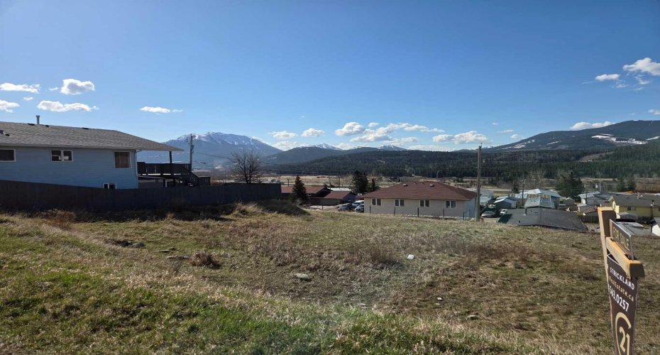 8630 21st Avenue, Coleman, Alberta T0K0M0, ,Land,For Sale,21st,A2296285