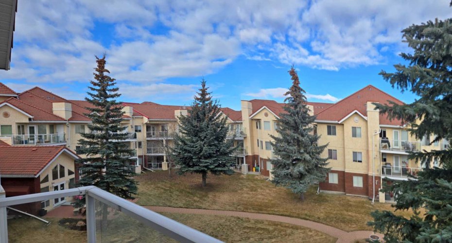 Views to look forward to in the Spring.