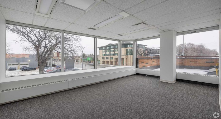 Expansive Window Lines