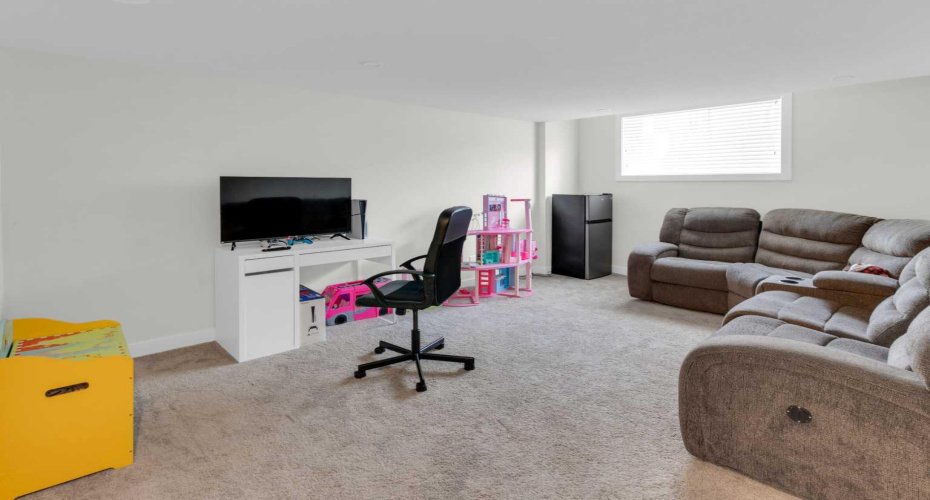 Lower level Basement