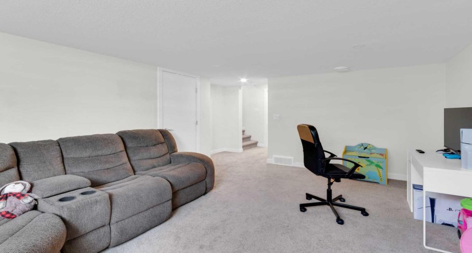 Lower level Basement