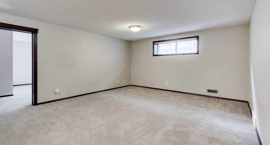 Lower level recreation room