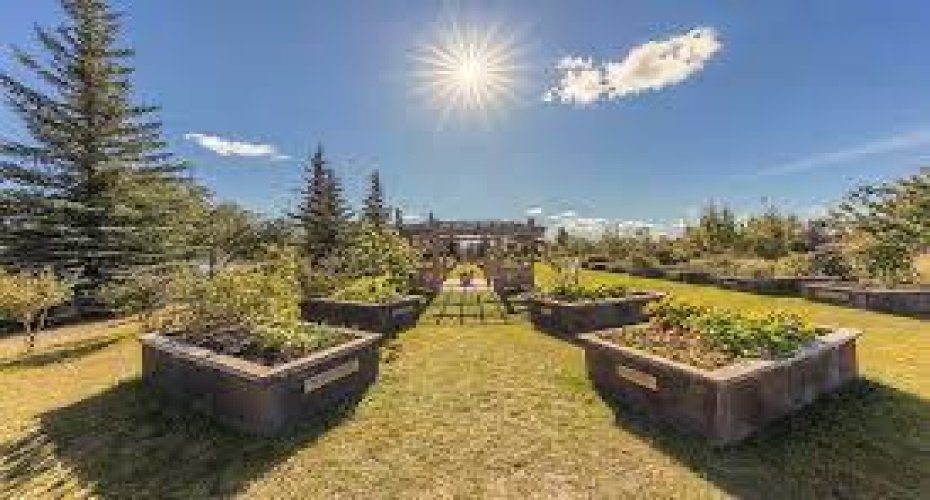 2363 23 Street, Calgary, Alberta T2M 3Y1, 3 Bedrooms Bedrooms, ,2 BathroomsBathrooms,Residential,For Sale,23,A2296613