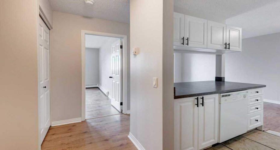 305 25 Avenue, Calgary, Alberta T2S 0L3, 1 Bedroom Bedrooms, ,1 BathroomBathrooms,Residential,For Sale,25,A2297497