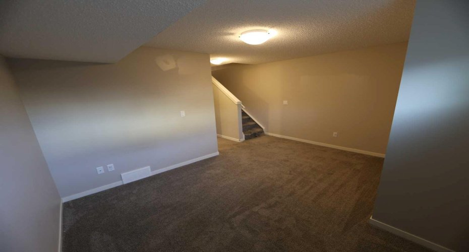 13 - Basement Wide 2