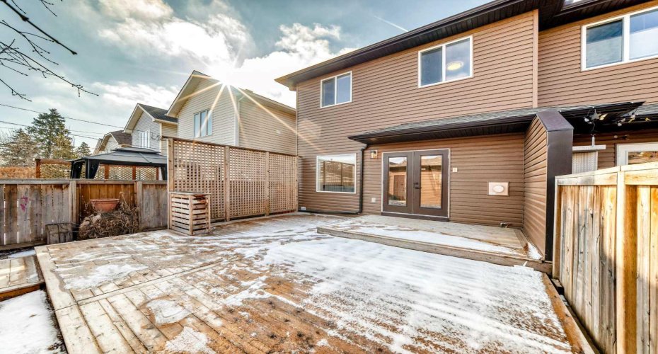 Low maintenance backyard